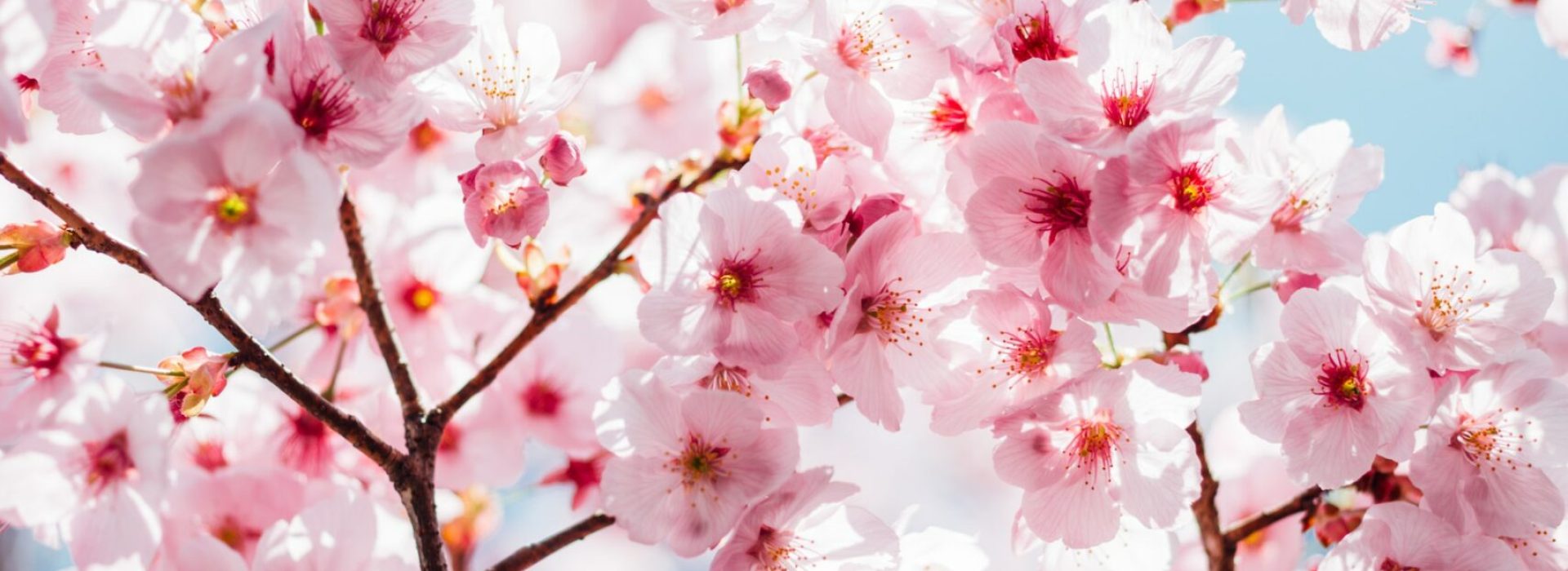 masaaki-komori-7kopuA-bHWc-unsplash